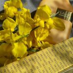 Parisa Roshani Instagram – CLARITY 
این عطر جذاب، هوس‌انگیز و زنانه از روایح نارنگی ماندارین، گل رز،‌ گل اوسمانتوس، شکل گرفته است.
این عطر بسیار کامل و شیک و مدرن مخصوص خانمهای جوان و قدرتمند و عاشق پیشه بوده و سرشار از عصاره های گلهای کمیاب و با ارزش است، 

ادو پرفیوم زنانه كلاريتي در دو رنگ طلايي زرد و قرمز بنفش 
بسته بندي شده 
٧٥ ميل ميباشد 
قيمت يك ميليون و چهارصد و پنجاه هزار تومان ميباشد ١/٤٥٠
ارسال به تمام ايران 
شماره سفارش ٠٩١٢٠٠٣٠٨٩٢ 🍀❤️#عطر #عطر_زنانه #كلاريتي #پريسا_روشني #زيبايي