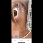 Parisa Roshani Instagram – #lightroom #snapseed  خيلي ها در اديت مشكل دارند ❤️ خدمت شما 🥰