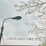 Park Eun-hye Instagram - 스즈메의 문단속 보고 연이어 본 #날씨의아이 개인적으로 날씨의아이가 끝판왕 이구나.. 너무나 감동 …
