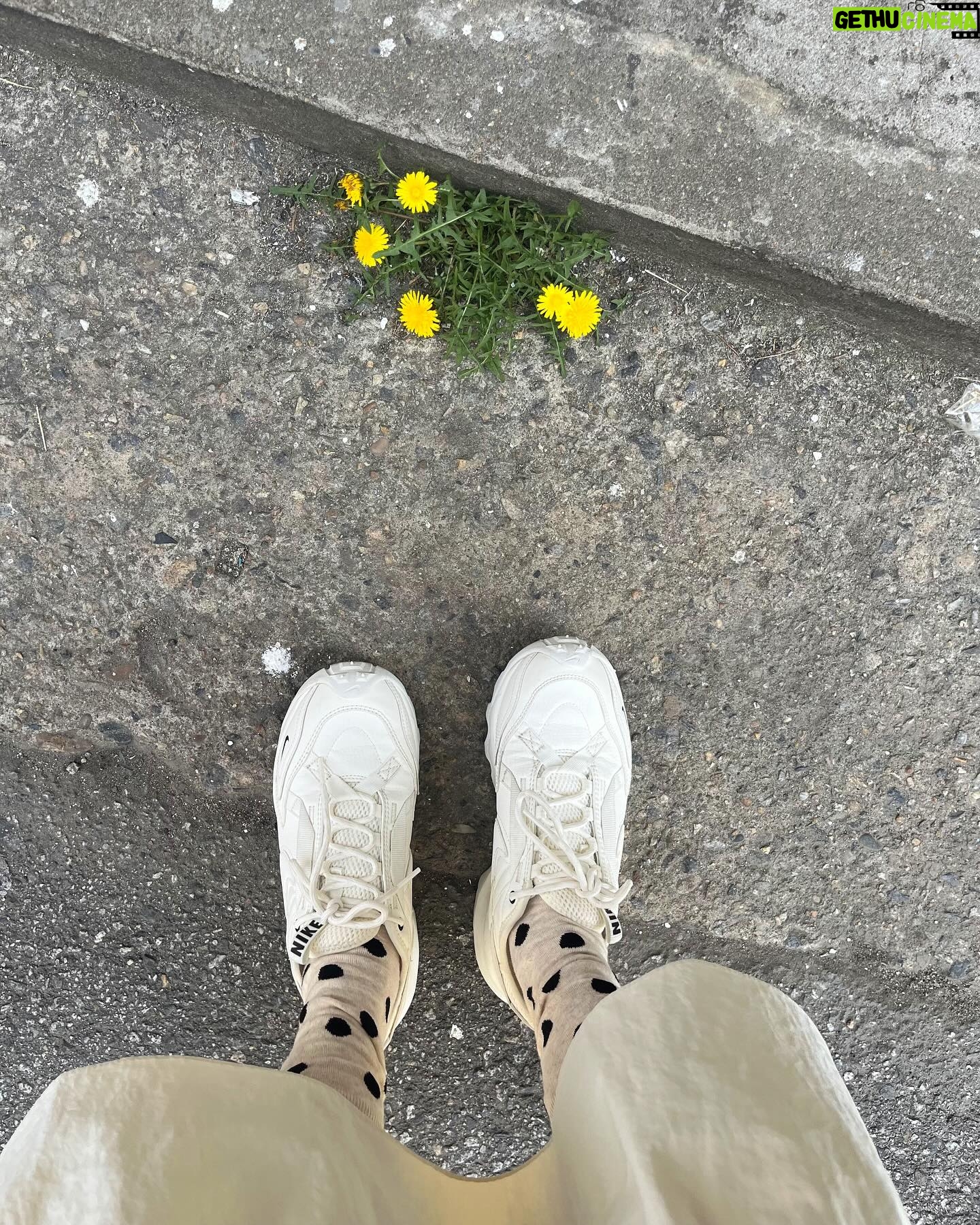 Park Gyu-ri Instagram - 어딜 가든 따뜻한 봄이라 기분 좋앙🌸😘