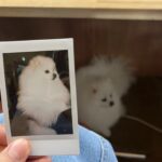 Park Gyu-ri Instagram - 🍀🫶🏻5월의 규리 안뇽👋🏻