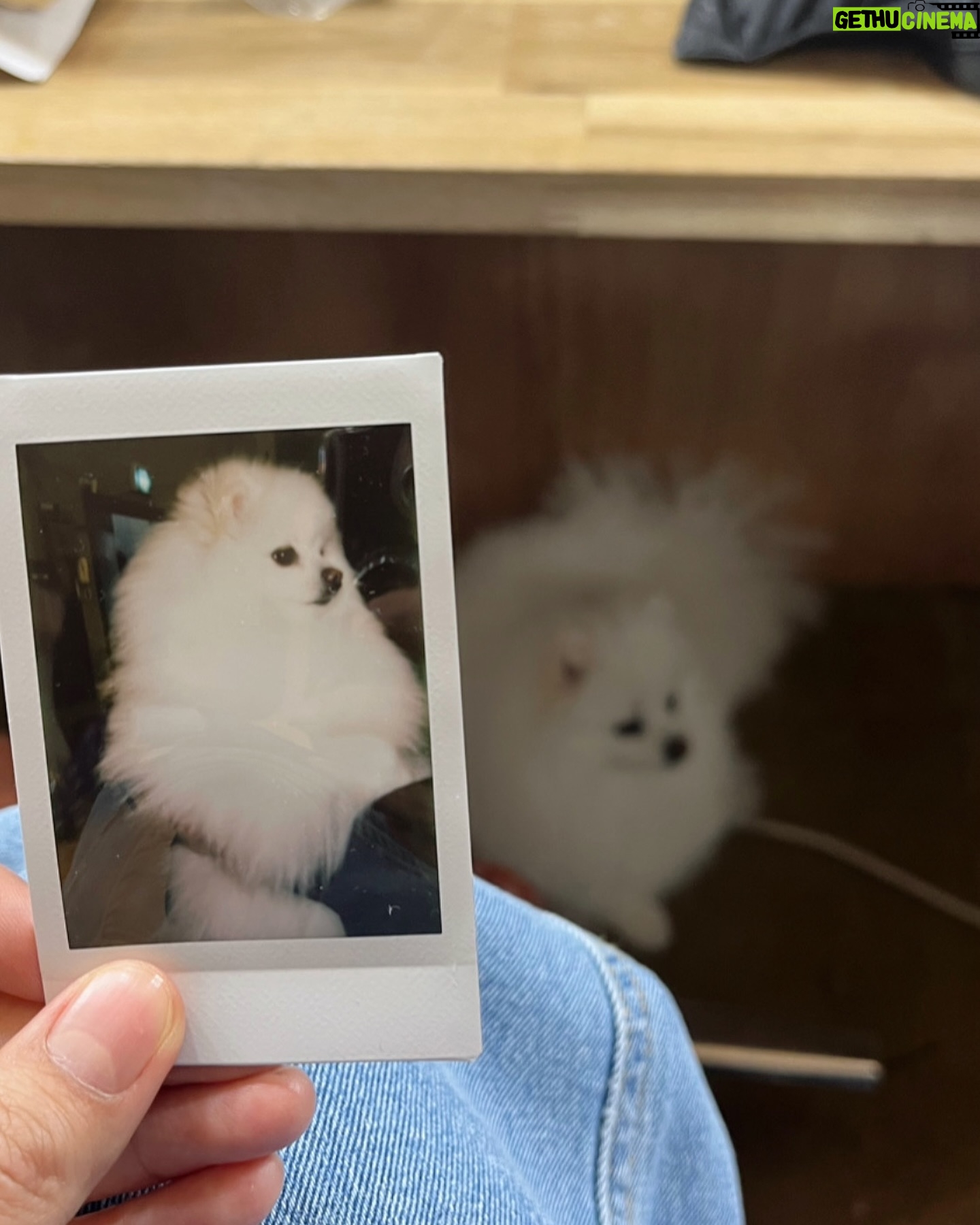 Park Gyu-ri Instagram - ππ«Άπ»5μμ κ·λ¦¬ μλ½ππ»