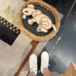 Park Gyu-ri Instagram - 24. 5 도쿄 기록물