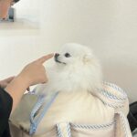 Park Gyu-ri Instagram - 나의 즐거움들