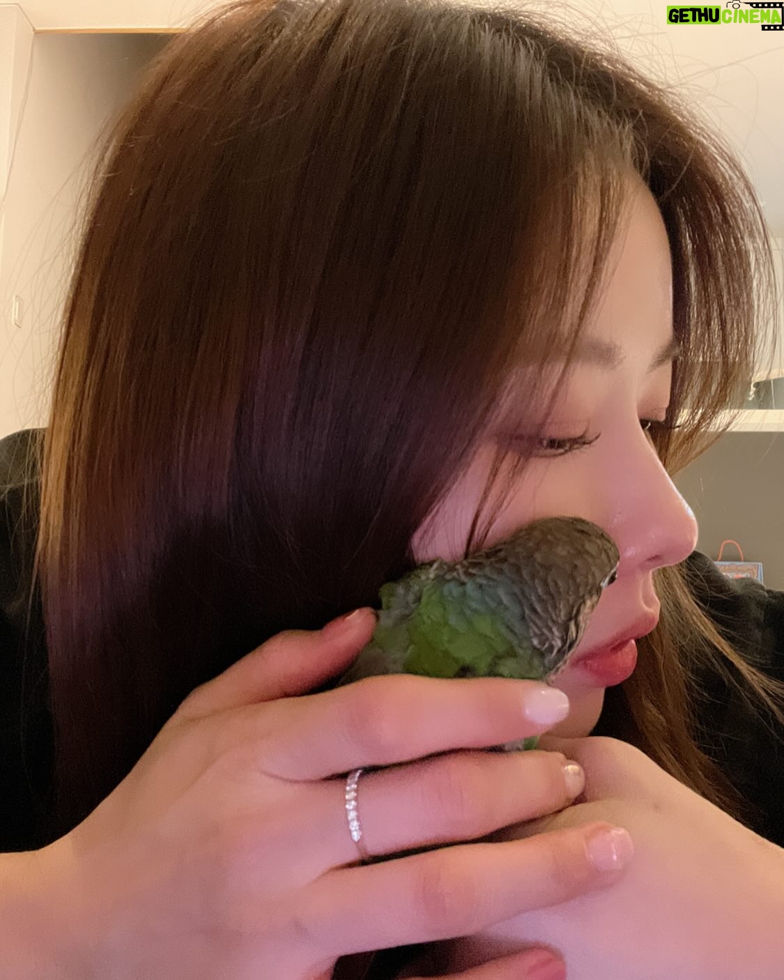 Park Ha-na Instagram - 우리 꼬물이 랍이~ #그린칙코뉴어#앵무새#앵집사