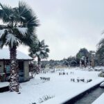 Park Han-byul Instagram - 🌨️🫧 #오늘제주 #겨울왕국