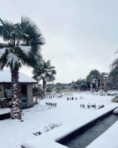 Park Han-byul Instagram - 🌨️🫧 #오늘제주 #겨울왕국