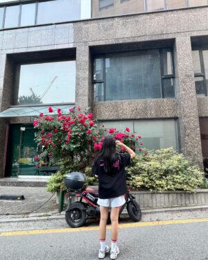 Park Ji-yoon Instagram - 바야흐로 내가 제일 좋아하는 
장미피는 계절🌹

정말 오랜만에 아이들과 서울행이에요✈️

이번엔 정말 짧게라 신나게 가볍게 출발했지만,

비행기 - 지하철 이동에 지칠대로 지쳐서 도착하니
하루가 다 지난 기분인데다 
첫 스케줄이 병원일줄은 몰랐을거야 또또 🐶
(배신감 부들부들)

그래도 또또의 병원스케줄을 무사히 마치고
배달천국 외식천국 서울이라
은근 힘안드는 한끼를 꿈꿨지만 
다인이는 일본라면과 만두를 외쳐서
그래 이대로만 이안이도 제발 라면을 외쳤지만,,
꼭 제주집에서도 잘 안먹는
끓여먹는 진라면과 스팸을 선택하셔서
엄마미는 결국 손이 물을 묻히고야말았다는 
슬픈 토요일의 이야기🥹

수박까지 차려줬으니 난좀 누워도 되겠니

(다이어터지만 가볍에 달걀로 시작하고
배달앱 보는 중….. #살짝설렜어난 )
