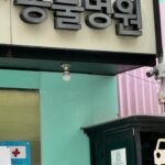 Park Ji-yoon Instagram - 바야흐로 내가 제일 좋아하는 장미피는 계절🌹 정말 오랜만에 아이들과 서울행이에요✈️ 이번엔 정말 짧게라 신나게 가볍게 출발했지만, 비행기 - 지하철 이동에 지칠대로 지쳐서 도착하니 하루가 다 지난 기분인데다 첫 스케줄이 병원일줄은 몰랐을거야 또또 🐶 (배신감 부들부들) 그래도 또또의 병원스케줄을 무사히 마치고 배달천국 외식천국 서울이라 은근 힘안드는 한끼를 꿈꿨지만 다인이는 일본라면과 만두를 외쳐서 그래 이대로만 이안이도 제발 라면을 외쳤지만,, 꼭 제주집에서도 잘 안먹는 끓여먹는 진라면과 스팸을 선택하셔서 엄마미는 결국 손이 물을 묻히고야말았다는 슬픈 토요일의 이야기🥹 수박까지 차려줬으니 난좀 누워도 되겠니 (다이어터지만 가볍에 달걀로 시작하고 배달앱 보는 중….. #살짝설렜어난 )