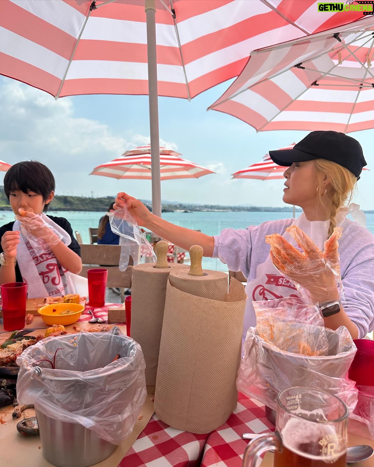 Park Ka-hi Instagram - 이렇게 부지런히 움직인 제주는 진짜 첨이네 좋았다 4월의 재주 🌴