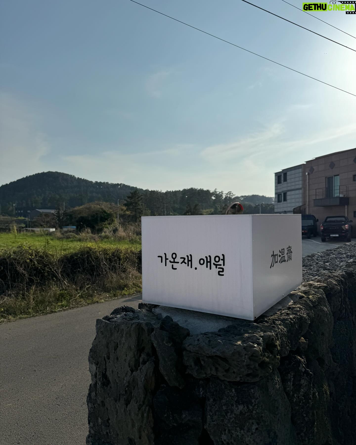 Park Ka-hi Instagram - 이렇게 부지런히 움직인 제주는 진짜 첨이네 좋았다 4월의 재주 🌴