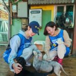 Park Ki-ryang Instagram - 블루엔젤봉사 이번엔 레인보우쉼터에 다녀왔어요. 초소형견부터 대형견까지 코리안독스에서 정말 잘관리해주고있다는 생각이들었어요. 견사청소도하고 사료도옮기고 아이들 간식도주고 놀아주었는데요 워낙 사람손을 좋아해서 안아달라 만져달라고 먼저다가와주는 착하고 예쁜아이들이었어요.따뜻한 가족이 필요한 아이들에게 많은관심 부탁드려요💙 #블루엔젤봉사단 #네츄럴발란스 #유기견보호센터 #유기견입양 #강아지입양 #사지말고입양하세요 @kdsrescue #연락주세요💕