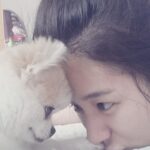 Park Ki-ryang Instagram - 2011.11.05-2024.04.20 사랑하는 우리 몽이가 갑작스레 무지개다리를 건넜어요.. 몽아... 사실 지금도 너가 떠난게 믿기질않아 오늘도 너가 너무 보고싶어서 울어버렸어. 매일  아침 저녁으로 간이 안좋아서 쿠싱약 먹는게 일상이었고 집에 올때면 반갑게 짖으며 총총 뛰어오는 너의 발자국소리 그리고 워낙 깔끔쟁이라 꼭 야외배변을 해야해서 우리함께 비가오나 눈이오나 나갔지...너가 매일 제일 좋아해서 잘 가지고 놀던 초록 노즈워크 치던 소리가 더이상 안나네...집안이 온통 너로 가득채워져있고 뭘 할때마다 너가 옆에있었기에 너무 허전하고 너무도 갑작스레 떠난게 아직도 자꾸 실감이 안난다. 며칠전 까지만해도 산책나갈때마다 폴짝폴짝 잘뛰어다니던 너였는데 너무 건강했는데... 딱하나 간이 약한 너였어서 암종만 제거하면 잘이겨내고 더 오래오래 행복할 줄 알았는데 많이 힘들었니... 수술하고 잘 이겨내고있다 생각 했는데 울애기 워낙 착하고 순해서 내가 걱정할까 아파도 아프다고 티도안낸거니... 너가 가기전날 나는 정말 중요한 복귀경기가있었고 그날 경기는 정말 멋졌고 성공적이었어. 그 행복을 너와 나누고 싶어 경기 끝나자마자 너 보러 달려갔고 엄마 목소리에 눈떠주고 힘을 내주는거 같았는데 그게 마지막 눈맞춤이라는게 믿기지않아... 마지막까지 날 응원해준거니 몽아.. 너 가는길 하늘도 같이울어주더라...아직도 너를 처음 품에 안은 순간이 눈에 선명해...나의 20대 전부와 지금까지 늘 내곁을 지켜주고 위로해주고 몇번이고 정말 너무도 힘들었던 날 살려준 이쁜울아가... 지금은 이 상황이 도무지 이해가 안되고 하늘이 원망스럽지만 잘 이겨낼께. 그리고 잊지마 너는 정말 많은 사람들에게 사랑을받았고 행복을 주는아이였어. 나의 첫 반려견이 너라서 너무 너무 감사하고 막상 떠나고나니 못 챙겨준 것 만 생각이나서 미안한 감정이 너무커. 엄마가 마지막에 다리에 묶어준 빨간끈 잘들고있지? 그거 꼭 간직했다 엄마 바로찾아..나중에 꼭 무지개다리에서 만나자 몸건강히 잘 놀구 있어..그땐 원없이 산책하고 마음껏 더 행복하자. 너가 좋아하던 장난감이랑 영양제 그리고 아파서 못먹던 간식까지 챙겼어. 그 좋아하던 간식 못먹인게 미안했는데 거기서 마음껏 먹어. 고맙고 미안하고 엄마가 너와의 기억들 모두 영원히 기억할게 너무 사랑해 몽아❤️