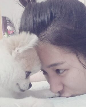 Park Ki-ryang Instagram - 2011.11.05-2024.04.20
사랑하는 우리 몽이가 갑작스레 무지개다리를 건넜어요..
몽아... 사실 지금도 너가 떠난게 믿기질않아 오늘도 너가 너무 보고싶어서 울어버렸어. 매일  아침 저녁으로 간이 안좋아서 쿠싱약 먹는게 일상이었고 집에 올때면 반갑게 짖으며 총총 뛰어오는 너의 발자국소리
그리고 워낙 깔끔쟁이라 꼭 야외배변을 해야해서 우리함께 비가오나 눈이오나 나갔지...너가 매일 제일 좋아해서 잘 가지고 놀던 초록 노즈워크 치던 소리가 더이상 안나네...집안이 온통 너로 가득채워져있고 뭘 할때마다 너가 옆에있었기에 너무 허전하고 너무도 갑작스레 떠난게 아직도 자꾸 실감이 안난다. 며칠전 까지만해도 산책나갈때마다 폴짝폴짝 잘뛰어다니던 너였는데 너무 건강했는데... 딱하나 간이 약한 너였어서 암종만 제거하면 잘이겨내고 더 오래오래 행복할 줄 알았는데 많이 힘들었니... 수술하고 잘 이겨내고있다 생각 했는데 울애기 워낙 착하고 순해서 내가 걱정할까 아파도 아프다고 티도안낸거니... 너가 가기전날 나는 정말 중요한 복귀경기가있었고 그날 경기는 정말 멋졌고 성공적이었어. 그 행복을 너와 나누고 싶어 경기 끝나자마자 너 보러 달려갔고 엄마 목소리에 눈떠주고 힘을 내주는거 같았는데 그게 마지막 눈맞춤이라는게 믿기지않아... 마지막까지 날 응원해준거니 몽아.. 너 가는길 하늘도 같이울어주더라...아직도 너를 처음 품에 안은 순간이 눈에 선명해...나의 20대 전부와 지금까지 늘 내곁을 지켜주고 위로해주고 몇번이고 정말 너무도 힘들었던 날 살려준 이쁜울아가... 지금은 이 상황이 도무지 이해가 안되고 하늘이 원망스럽지만 잘 이겨낼께. 그리고 잊지마 너는 정말 많은 사람들에게 사랑을받았고 행복을 주는아이였어. 나의 첫 반려견이 너라서 너무 너무 감사하고 막상 떠나고나니 못 챙겨준 것 만 생각이나서 미안한 감정이 너무커. 엄마가 마지막에 다리에 묶어준 빨간끈 잘들고있지? 그거 꼭 간직했다 엄마 바로찾아..나중에 꼭 무지개다리에서 만나자 몸건강히 잘 놀구 있어..그땐 원없이 산책하고 마음껏 더 행복하자. 너가 좋아하던 장난감이랑 영양제 그리고 아파서 못먹던 간식까지 챙겼어. 그 좋아하던 간식 못먹인게 미안했는데 거기서 마음껏 먹어. 고맙고 미안하고 엄마가 너와의 기억들 모두 영원히 기억할게 너무 사랑해 몽아❤️