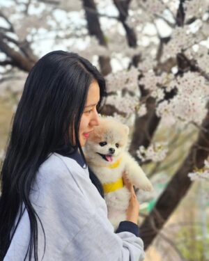 Park Ki-ryang Instagram - 2011.11.05-2024.04.20
사랑하는 우리 몽이가 갑작스레 무지개다리를 건넜어요..
몽아... 사실 지금도 너가 떠난게 믿기질않아 오늘도 너가 너무 보고싶어서 울어버렸어. 매일  아침 저녁으로 간이 안좋아서 쿠싱약 먹는게 일상이었고 집에 올때면 반갑게 짖으며 총총 뛰어오는 너의 발자국소리
그리고 워낙 깔끔쟁이라 꼭 야외배변을 해야해서 우리함께 비가오나 눈이오나 나갔지...너가 매일 제일 좋아해서 잘 가지고 놀던 초록 노즈워크 치던 소리가 더이상 안나네...집안이 온통 너로 가득채워져있고 뭘 할때마다 너가 옆에있었기에 너무 허전하고 너무도 갑작스레 떠난게 아직도 자꾸 실감이 안난다. 며칠전 까지만해도 산책나갈때마다 폴짝폴짝 잘뛰어다니던 너였는데 너무 건강했는데... 딱하나 간이 약한 너였어서 암종만 제거하면 잘이겨내고 더 오래오래 행복할 줄 알았는데 많이 힘들었니... 수술하고 잘 이겨내고있다 생각 했는데 울애기 워낙 착하고 순해서 내가 걱정할까 아파도 아프다고 티도안낸거니... 너가 가기전날 나는 정말 중요한 복귀경기가있었고 그날 경기는 정말 멋졌고 성공적이었어. 그 행복을 너와 나누고 싶어 경기 끝나자마자 너 보러 달려갔고 엄마 목소리에 눈떠주고 힘을 내주는거 같았는데 그게 마지막 눈맞춤이라는게 믿기지않아... 마지막까지 날 응원해준거니 몽아.. 너 가는길 하늘도 같이울어주더라...아직도 너를 처음 품에 안은 순간이 눈에 선명해...나의 20대 전부와 지금까지 늘 내곁을 지켜주고 위로해주고 몇번이고 정말 너무도 힘들었던 날 살려준 이쁜울아가... 지금은 이 상황이 도무지 이해가 안되고 하늘이 원망스럽지만 잘 이겨낼께. 그리고 잊지마 너는 정말 많은 사람들에게 사랑을받았고 행복을 주는아이였어. 나의 첫 반려견이 너라서 너무 너무 감사하고 막상 떠나고나니 못 챙겨준 것 만 생각이나서 미안한 감정이 너무커. 엄마가 마지막에 다리에 묶어준 빨간끈 잘들고있지? 그거 꼭 간직했다 엄마 바로찾아..나중에 꼭 무지개다리에서 만나자 몸건강히 잘 놀구 있어..그땐 원없이 산책하고 마음껏 더 행복하자. 너가 좋아하던 장난감이랑 영양제 그리고 아파서 못먹던 간식까지 챙겼어. 그 좋아하던 간식 못먹인게 미안했는데 거기서 마음껏 먹어. 고맙고 미안하고 엄마가 너와의 기억들 모두 영원히 기억할게 너무 사랑해 몽아❤️
