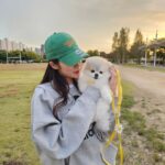 Park Ki-ryang Instagram - 한강가면 신나는 몽이🐶 찌그러져도 이쁜 내새끼❤️