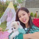Park Ki-ryang Instagram - #펫대로하우스 덕분에 몽이는 웃음꽃이 피었답니다❤️