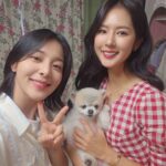 Park Ki-ryang Instagram - 오늘 10시40분 채널A 펫대로하우스🥰 #펫대로하우스 #박명수 #설인아 #박지현인테리어디자이너 #설채현원장님