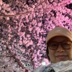 Park Mi-sun Instagram – 밥 먹고  아들과  동네  산책 
.
아~~~행복하다 
.
이쁘다  우리 동네
.
#밤벚꽃산책  #동네한바퀴