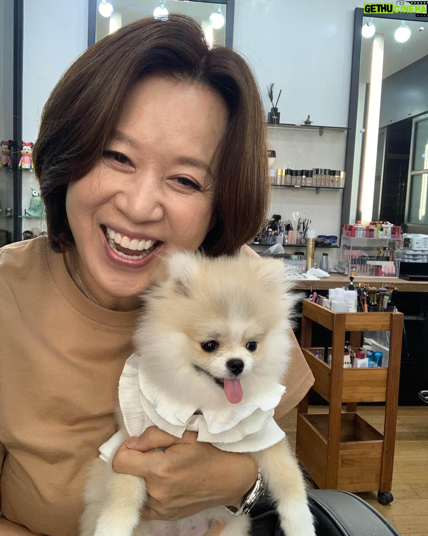 Park Mi-sun Instagram - 귀염둥이 하찌 . #컬쳐앤네이쳐 #마스코트 #하나쌤딸