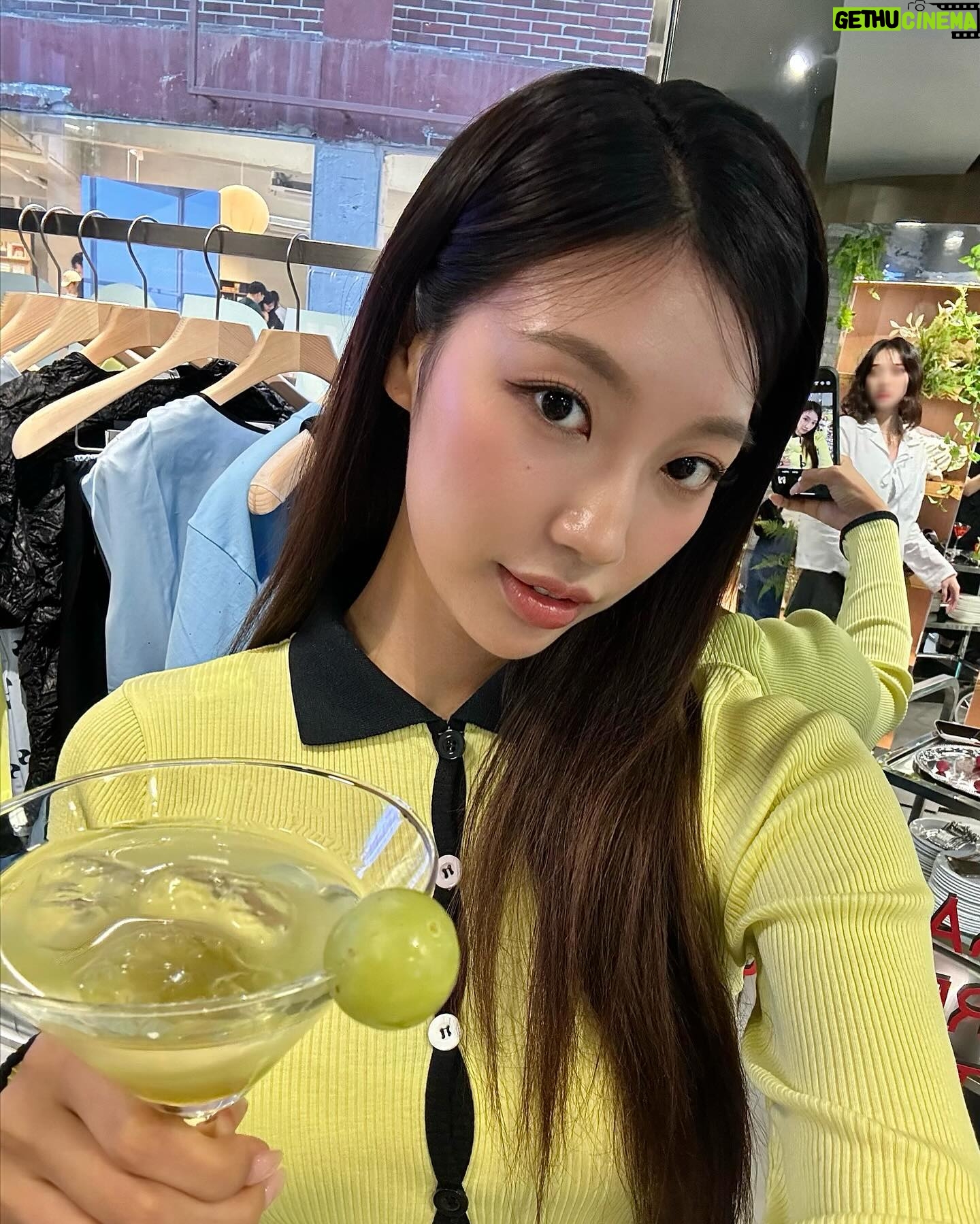 Park Se-jeong Instagram - @tomgreyhound @operasport___ 클래식과 현대적인 스타일의 결합을 추구하는 파리와 스포티함의 요소를 매력적으로 사용하는 코펜하겐, 두 도시의 매력을 한 데 모아 우아하지만 스포티하며 지속 가능한 패션을 선보이는 @operasport___ 🌿🌷 러플 디테일의 사랑스러운 SHIRLEY BAG 셜리백과 함께 5/22일까지 진행되는 팝업에서 만나보세요! 🎀 • 톰그레이하운드 성수점 (서울 성동구 연무장길21) #OPERASPORT #TOMGREYHOUND #TOMG #톰그레이하운드 #성수팝업