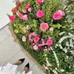 Park Se-jeong Instagram – blooming