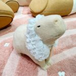 Park Se-jeong Instagram - @gentlemonster X @jennierubyjane ✧˚⋆ ˖ ࣪ Capybara heaven⋆｡ْ.·˖*·⑅♡🎀🧴🧼🫧