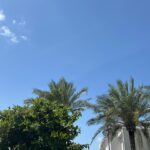 Park So-yeon Instagram - . ☀️🏡 🇦🇪