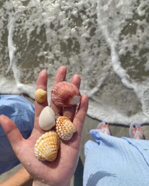 Park So-yeon Instagram - .
며칠 전 , 집 근처 비치… 🐚🩵
