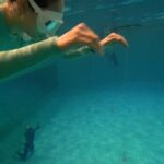 Park Ye-eun Instagram – #freediving 🧜🏻‍♀️🐠🐬💦