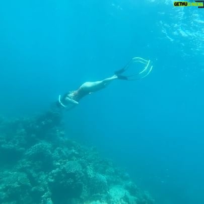 Park Ye-eun Instagram - First dive in the ocean 😂🐠 #thailand #freediving