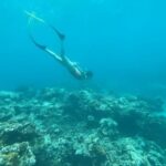 Park Ye-eun Instagram - First dive in the ocean 😂🐠 #thailand #freediving