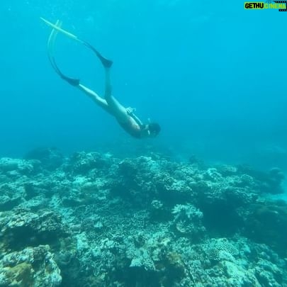 Park Ye-eun Instagram - First dive in the ocean 😂🐠 #thailand #freediving
