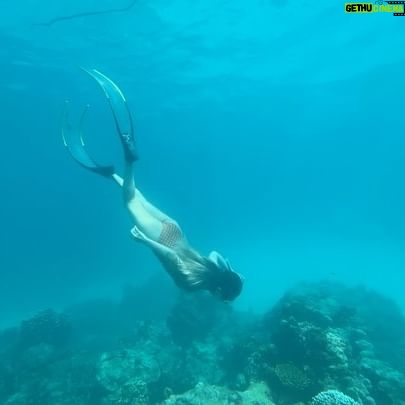 Park Ye-eun Instagram - First dive in the ocean 😂🐠 #thailand #freediving