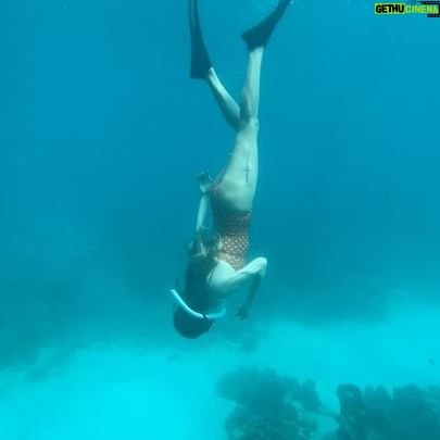 Park Ye-eun Instagram - First dive in the ocean 😂🐠 #thailand #freediving