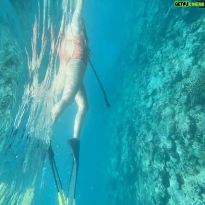 Park Ye-eun Instagram - First dive in the ocean 😂🐠 #thailand #freediving