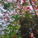 Parna Pethe Instagram - Coming Soon.. Monsoon! ⛅️ #summerof2024 — PC @kadambarik13 ‘s warmth :) 🍄