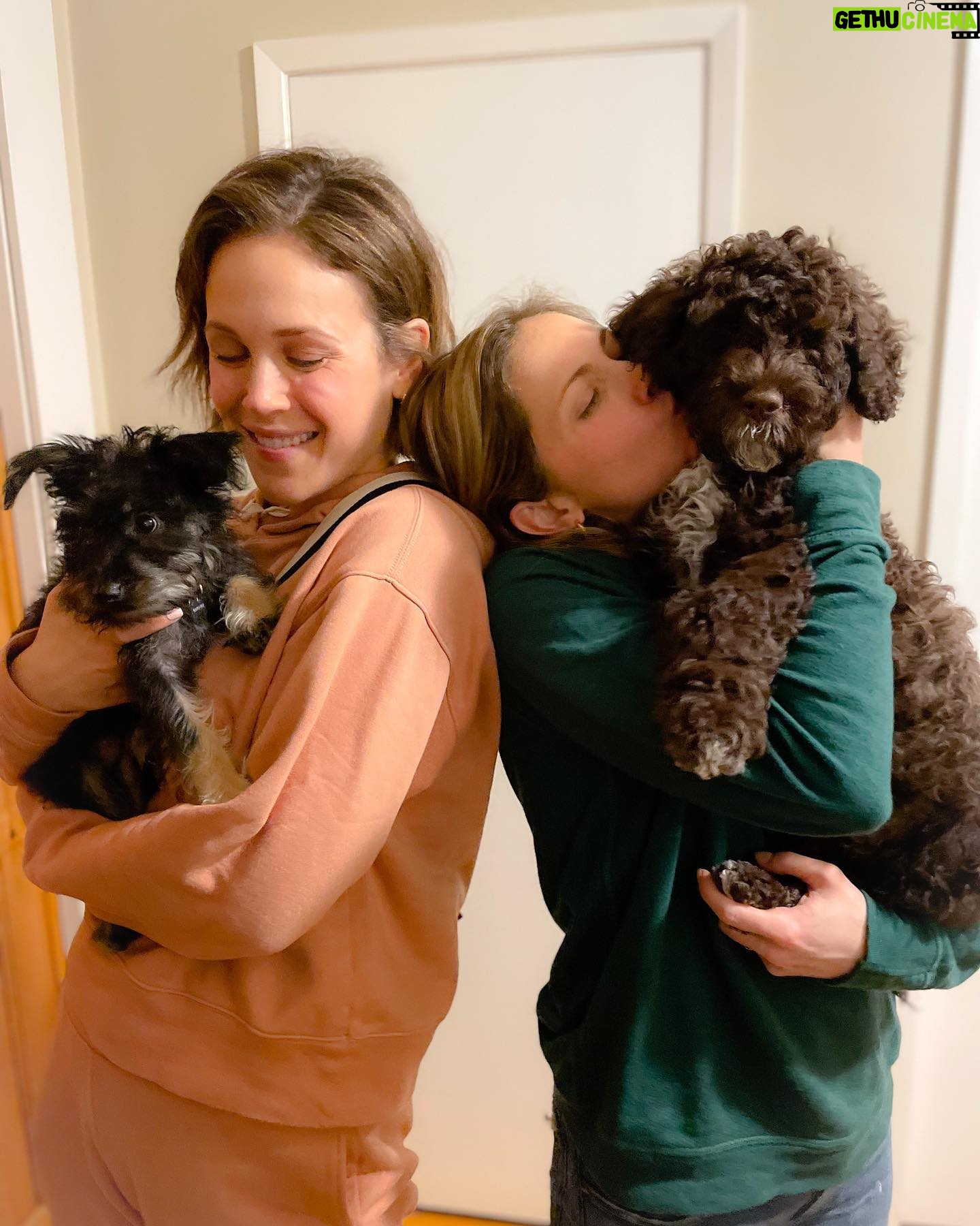 Pascale Hutton - 9.6K Likes - Happy Valentine’s Day 🐶💕