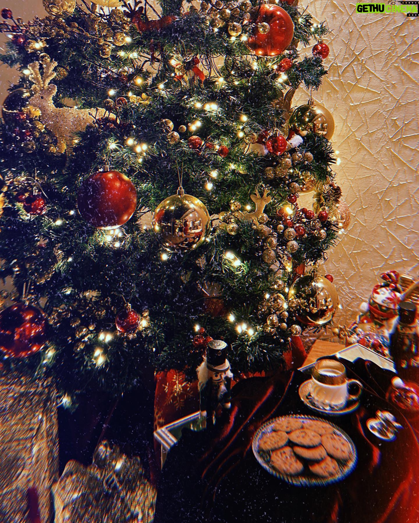 Pashmina Roshan Instagram - Wishing you all warmth this Christmas , may your days be merry and bright 🎄♥️