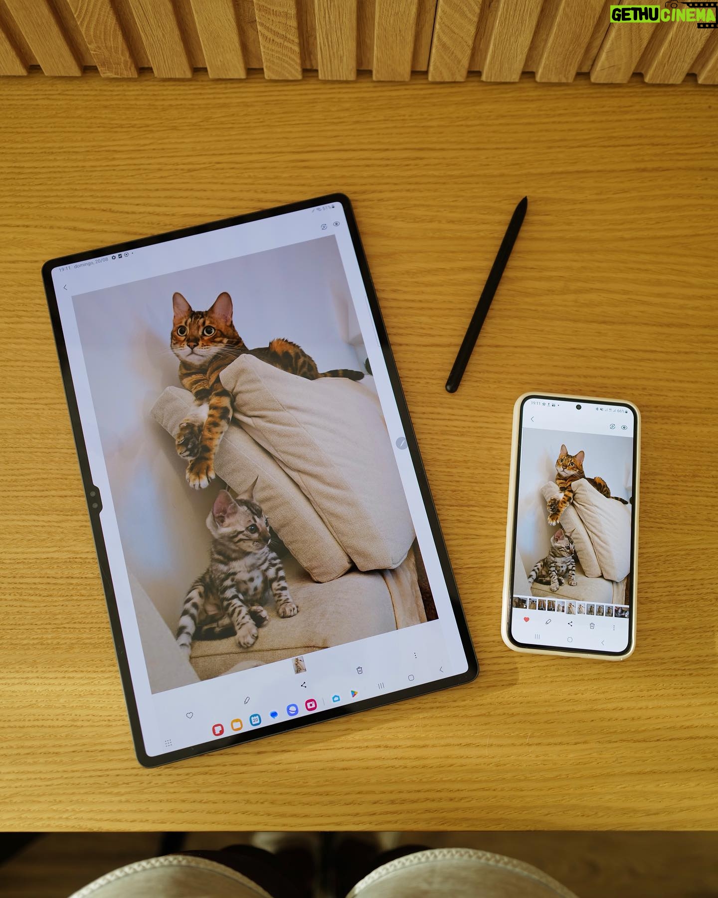 Patrícia Mamona Instagram - Modo produtividade ativado com a ajuda do meu #GalaxyTabS9 Ultra e do Quick Share para partilhar ficheiros de forma rápida para o meu #GalaxyS23 . Fácil 😉💪 #GalaxyWatch6 #TeamGalaxy @samsungportugal