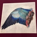 Patricia Arquette Instagram - Black bird, Blue bird, Old bird, New bird