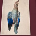 Patricia Arquette Instagram - Black bird, Blue bird, Old bird, New bird