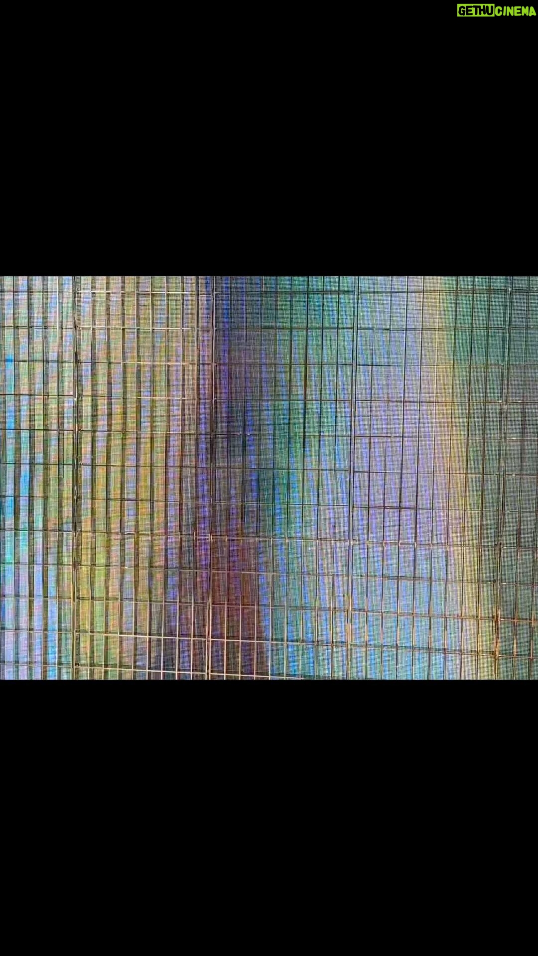Patricia Arquette Instagram - Self portrait in glass and glass and glass