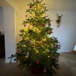 Patricia Kelly Instagram - Merry Christmas to everyone!🎄🌟🎄🎄 lots of love and joy in these days to you & loved ones 🎄♥️❄️🎄🎄 wie feiert ihr die Weihnachtstage? @denis.sawinkin.official @sawinkinalexander @iggikelly_official #christmas #family #christianfaith #faith #hope #peace #birthofjesus #holydays #patriciakelly #kellyfamily #thekellyfamily