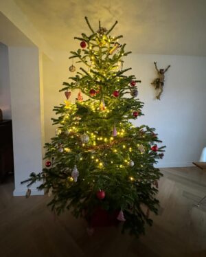 Patricia Kelly Instagram - Merry Christmas to everyone!🎄🌟🎄🎄 lots of love and joy in these days to you & loved ones 🎄♥️❄️🎄🎄 wie feiert ihr die Weihnachtstage?  @denis.sawinkin.official @sawinkinalexander @iggikelly_official 
#christmas #family #christianfaith #faith #hope #peace #birthofjesus #holydays #patriciakelly #kellyfamily #thekellyfamily