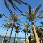 Patricia Kelly Instagram - #throwback to our beautiful holidays ☀️🕶️🌴🏝️👩‍❤️‍👨 @denis.sawinkin.official 💋#tbt #throwbackthursday #vacation #auszeit #sun #love #family #travel #holidays #patriciakelly #kellyfamily #thekellyfamily
