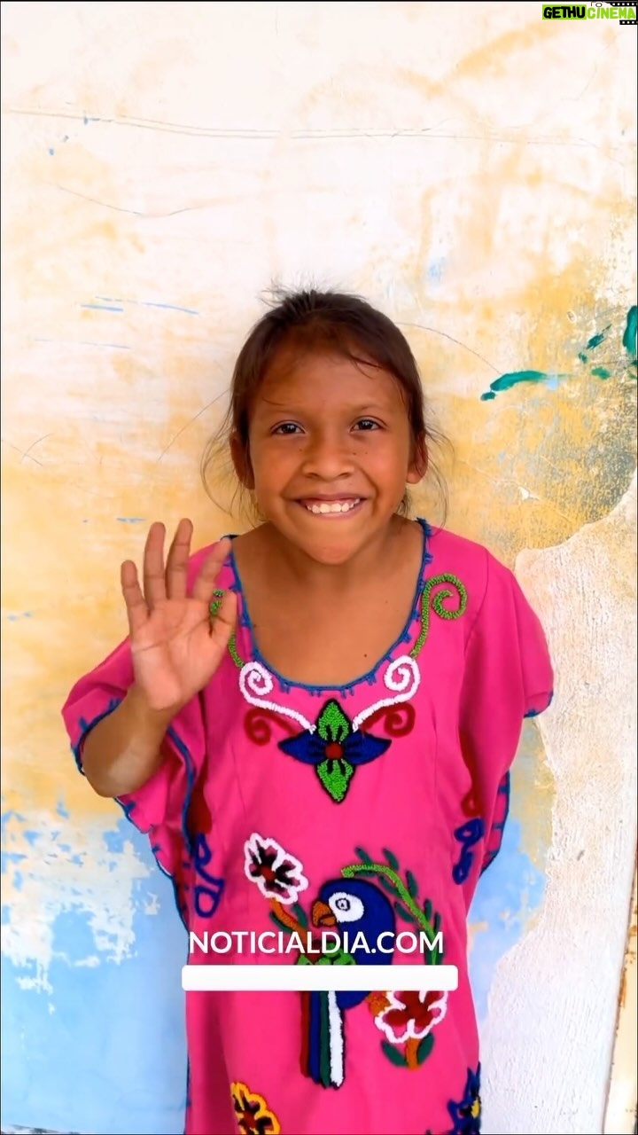 Patricia Velásquez Instagram - Gracias @noticiaaldia por mostrar el trabajo de @wayuutaya .Gracias a todos nuestros aliados quienes lo hacen posible. • La Fundación Wayuú Taya es una organización no gubernamental y sin fines de lucro, fundada en 2002, para ayudar a mejorar la calidad de vida de las comunidades indígenas latinoamericanas, manteniendo y respetando sus tradiciones, cultura y creencias. Fundación Wayuú Taya está ubicada en el municipio Mara, desde donde realiza todas sus operaciones. Para ayudar con el problema del agua en la comunidad, la fundación utiliza sus camiones cisterna que cargan en los dos pozos que tienen y distribuyen el agua en los colegios de la zona. Al llegar a los colegios el chofer del camión tocaba la corneta para avisar que había llegado el agua y resultaba conmovedor como los niños saltaban y gritaban de alegría por ver el agua caer en los tanques. El chofer José Benito explicó a Noticia al Día: “Estoy muy feliz de pertenecer a este programa de agua para todos, el hecho de estar aquí y aportar así sea algo pequeño es muy gratificante, ver la emoción de los niños cuando llegamos es algo que nada pueda pagar, no tengo palabras para describir lo que se siente”. La profesora Karina Dávila, académica de la escuela Ciénaga de Reyes, comentó: “estoy de acuerdo con todas estas actividades que son para beneficio de los niños, agradezco a la Fundación Wayuú Taya por apoyar con alimentos y donaciones, esta ayuda es muy importante porque aquí hay muchas necesidades”. De igual forma, Isabel Perozo, directora de comunicaciones de la Fundación expresó: “los niños reciben una formación integral, tenemos varios programas de danzas, música y teatro. También trabajamos con el proyecto de música ancestral, para preservar la identidad de la cultura Wayuú”. Video: Wilberth Marval Lea esta u otras informaciones en nuestra página web www.noticialdia.com 📲💻 #NADZulia #mara #wayuutaya