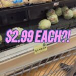 Patricia Williams Instagram – No matter where you come from OR what you have…food prices are high. Y’all can argue with me all you want about who did it, but what you REALLY need to do is split some lettuce with your fellow grocery shoppers. 😂😂😂 

Austin TX! I am on my way to @paramountaustin this Thursday for Moontower Comedy Fest! Get your tickets at mspatcomedy.com! 

#lettuce #mspat #inflation