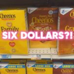 Patricia Williams Instagram – This is what happens when you stop using @doordash, and why y’all need to buy tickets to #YaGirlDoneMadeItTour.😂 Why is food getting so damn expensive? 

I don’t care how much of anything y’all think I have, I’m still the same Ms. Pat. $6.29 cents for some Cheerios is crazy. I can’t believe this. 😱 Who got the cereal plug? 

#foodprices #inflation  #mspat