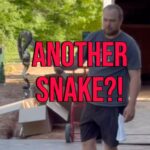 Patricia Williams Instagram - What did Samuel L. Jackson say?! ENOUGH IS ENOUGH! I have had it with these mf snakes in this mf house! 😂 We caught another one y’all. Now I guess we have no choice but to move 😂😂😂 Watch til the end and get your tickets for #YaGirlDoneMadeItTour at mspatcomedy.com!